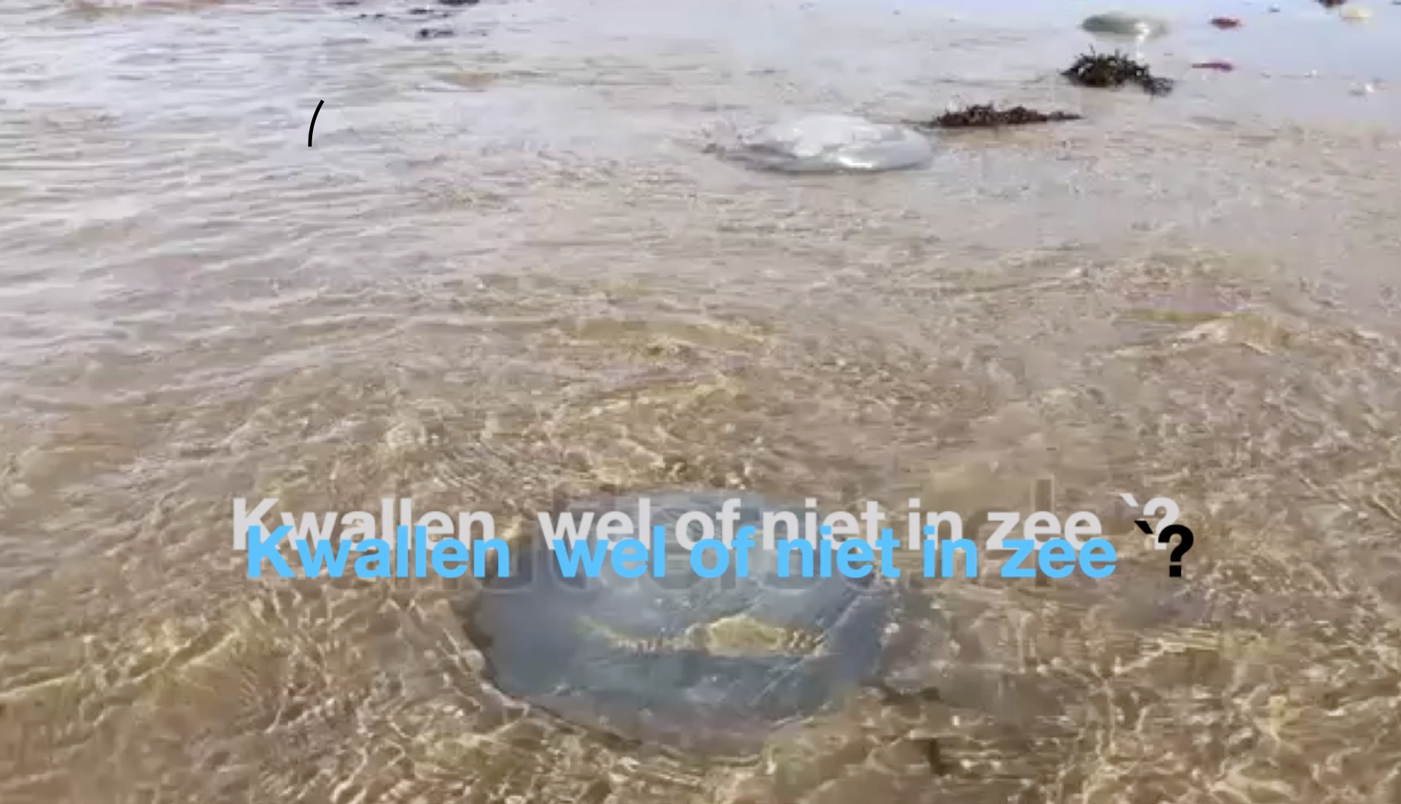 Schermafbeelding 2020-06-21 om 10.46.54
